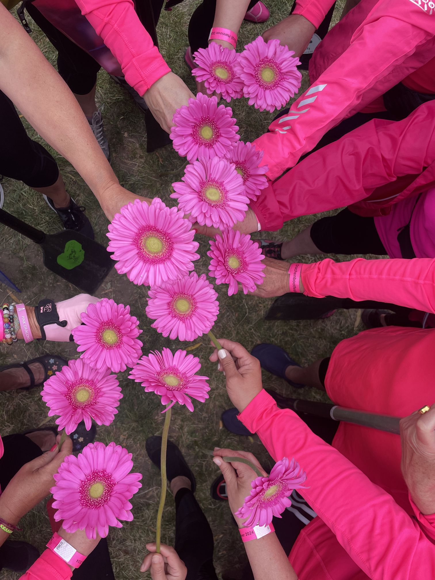 Lebensfreude in Pink: FSH Tübingen bei der Drachenboot-Regatta in Hannover im Mai 2024